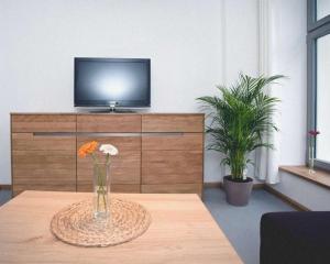 eine Vase mit Blumen auf einem Tisch vor einem TV in der Unterkunft Luv an der Nikolaikirche - ABC85 in Wismar