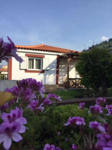 ein Haus mit lila Blumen davor in der Unterkunft Christina Apartment in Ágios Konstantínos