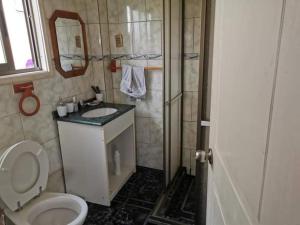 a bathroom with a toilet and a sink and a shower at CASA CON QUINCHO in Ancud
