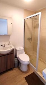 La salle de bains est pourvue de toilettes, d'un lavabo et d'une douche. dans l'établissement Moderno departamento con balcón en IslaTeja, Valdivia, à Valdivia