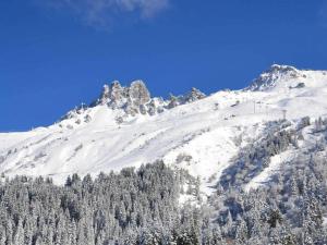 einen schneebedeckten Berg mit Bäumen darauf in der Unterkunft Cimes 2 B17 in Méribel