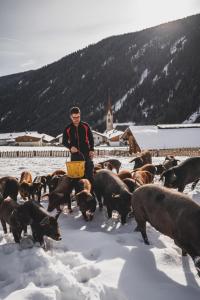 ヴァレスにあるHotel Valserhofの雪の中の豚の群れの横に立つ男