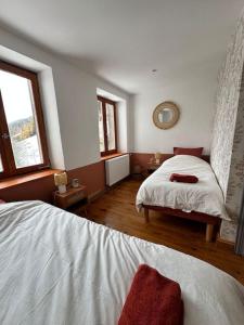 1 Schlafzimmer mit 2 Betten und 2 Fenstern in der Unterkunft L’ancienne ferme in Sainte-Marie-aux-Mines
