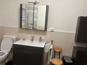 a bathroom with a sink and a toilet and a mirror at Monteurzimmer am Holzbach in Maroth