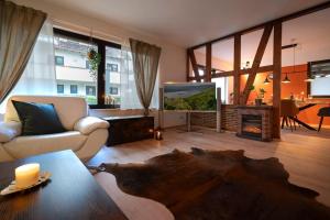 a living room with a couch and a tv and a fireplace at idyllisches Traumhaus mit Garten in Emmelshausen