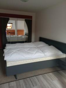 a bed in a bedroom with a large mirror at Ferienwohnung Heimkehr - Blick in Crottendorf