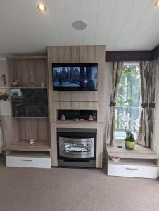 sala de estar con chimenea y TV de pantalla plana en BEAUTIFUL LODGE on SHOREFIELD Country Park on edge of New Forest ENTERTAINMENT AND LEISURE PASSES INCLUDED, en Milford on Sea