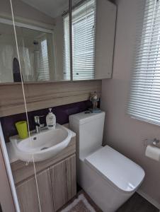 a bathroom with a toilet and a sink and a mirror at BEAUTIFUL LODGE on SHOREFIELD Country Park on edge of New Forest ENTERTAINMENT AND LEISURE PASSES INCLUDED in Milford on Sea