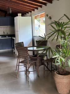 cocina con mesa, sillas y maceta en Casa de campo Itirapina/SP en Itirapina