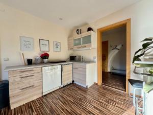 Kuchyňa alebo kuchynka v ubytovaní Apartment Ausseerland - willkommen bei Freunden + 25 fotografií