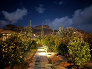 un jardín por la noche con una montaña en el fondo en Naseem Country House en Al Ula