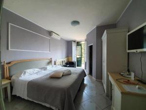 una camera da letto con un letto, una scrivania e una televisione di Hotel Fedora a Firenze
