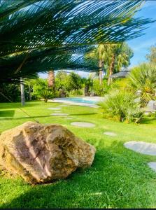 a rock in the grass next to a palm tree at Le Cocoon Lodge du Gapeau & Massage in Solliès-Pont