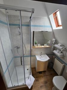 uma casa de banho com um chuveiro e um lavatório. em Drava Osijek em Osijek