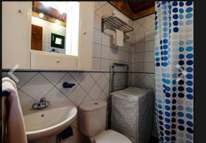 a bathroom with a toilet and a sink and a mirror at Casa las toscas in Calera +36 photos