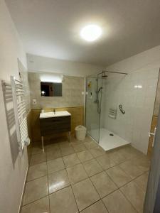 a bathroom with a shower and a sink at Superbe appartement in Lamalou-les-Bains
