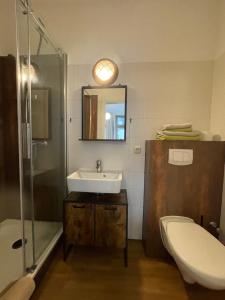 uma casa de banho com um lavatório, um chuveiro e um WC. em Alte Häuslerei em Boltenhagen