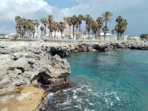 una playa con rocas, palmeras y el océano en La casa del pellegrino, en Carpignano Salentino