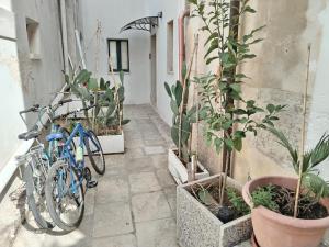 Una bicicleta azul está estacionada al lado de algunas plantas en La casa del pellegrino, en Carpignano Salentino