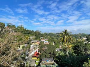 un pueblo en una colina con una palmera en 中国蒲公英民宿Dandelion Guest house Villa with Mount View, en Kandy