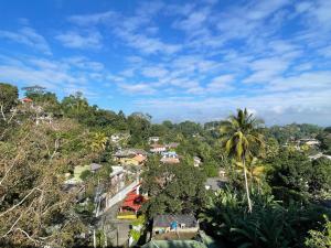 a village on a hill with a palm tree at 中国蒲公英民宿Dandelion Guest house Villa with Mount View in Kandy