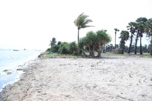 an empty beach with palm trees and the ocean at Palm Beach Resort Ceylon in Jaffna