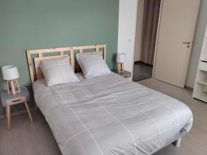 ein Schlafzimmer mit einem großen Bett mit weißen Kissen in der Unterkunft Maison à la campagne in Villiers-sur-Tholon