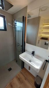 een badkamer met een witte wastafel en een douche bij Riverboat-Rhein-Main Ferienloft in Wiesbaden