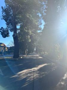 a street with trees on the side of the road at Bengiorne! Casa vacanza Al Viale in Raiano