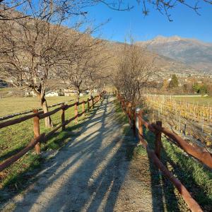 een hek naast een veld met bomen en bergen bij La Taverna Alloggio ad uso turistico - VDA -Sarre - CIR- 0073 in Aosta