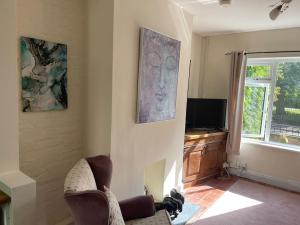 uma sala de estar com um sofá e uma televisão em Lovely 2 bedroom house overlooking park, Free parking em Belfast
