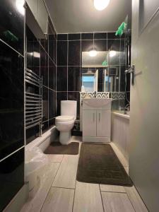 een badkamer met een toilet, een wastafel en een spiegel bij Normanton in Birmingham