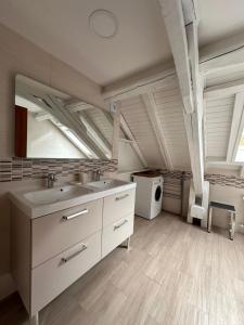 an attic bathroom with a sink and a washing machine at Gîtes Sous Les Loges in Lélex