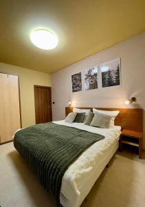 1 dormitorio con 1 cama grande con manta verde en Apartment KIMO - stunning view of High Tatras, en Veľká Lomnica