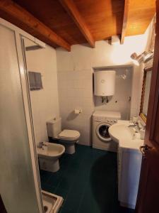 un bagno con un lavandino del water e una lavatrice di Loft Rustico a Firenze