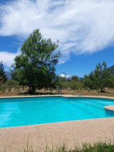 a blue swimming pool with a tree in the background at Peumayenlodge Cabaña moderna in Antuco