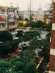 A garden outside المعموره الشاطئ