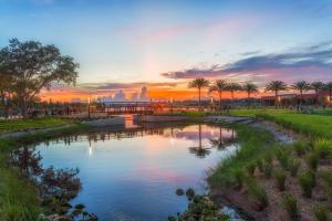 a sunset over a river with palm trees in a park at Cute 1bdrm Cottage in Downtown Tampa in Tampa