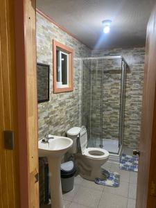 ein Bad mit einem WC, einem Waschbecken und einer Dusche in der Unterkunft Cabaña Los Ulmos in Castro
