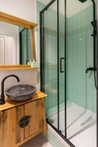 uma casa de banho com um lavatório e um chuveiro em Green Oasis in the city em Antuérpia