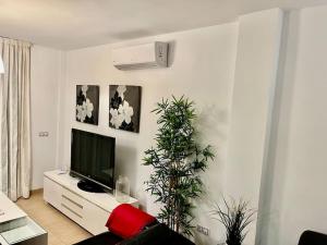 a living room with a flat screen tv and plants at Villa Dulce in Port d'Alcudia +27 photos