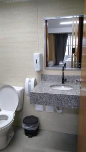 a bathroom with a toilet and a sink and a mirror at Edifício Master in Cascavel