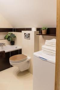 ein Badezimmer mit einem WC und einem Waschbecken mit Handtüchern in der Unterkunft Apartament na Górnej in Puńsk