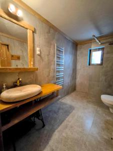 a bathroom with a sink and a mirror at QESTIA Escape in Sicasău +35 photos