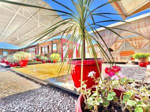 Foto da galeria de Casa TINY em San Pedro de Atacama