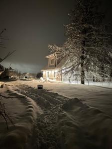 a snow covered yard with a house and a tree at Sportsmen´s Holiday House in Otepää