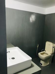 a bathroom with a white sink and a toilet at GreenSenz Resort & Hostel-Sigiriya in Sigiriya