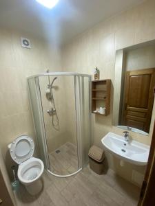 Koupelna v ubytování Садиба У Дохтора Відпочинок у Карпатах