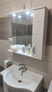 La salle de bains est pourvue d'un lavabo et d'un miroir. dans l'établissement StudioConfort, à Braşov