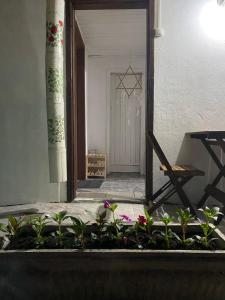 Habitación con puerta, silla y flores en Vilarejo hospedagem, en Ilha do Mel